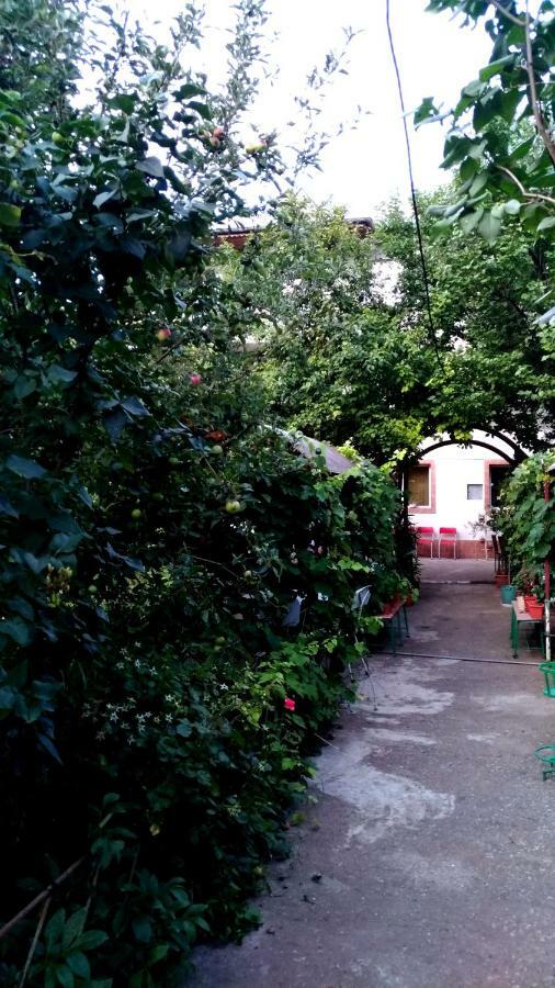 에포리수드 Casa Din Gradina 빌라 외부 사진