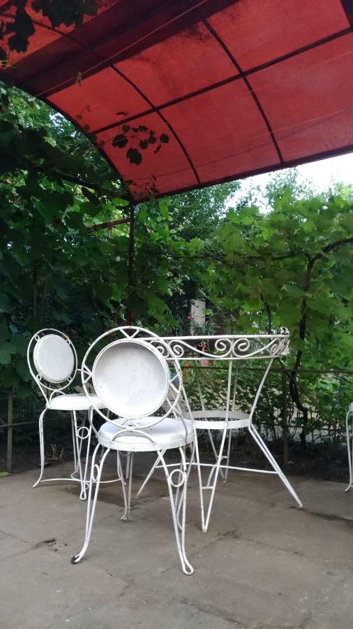 에포리수드 Casa Din Gradina 빌라 외부 사진