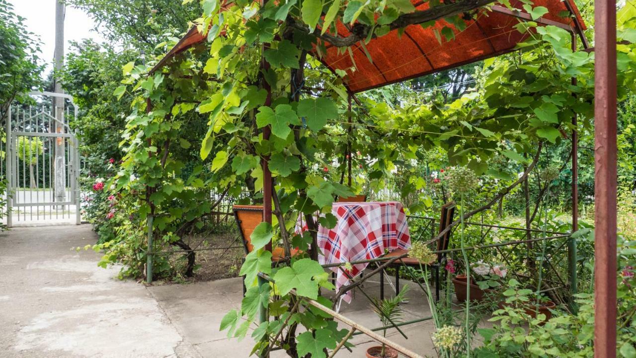 에포리수드 Casa Din Gradina 빌라 외부 사진