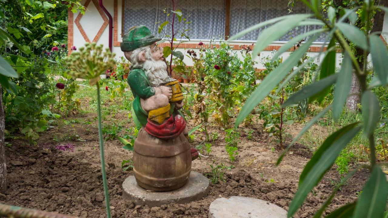 에포리수드 Casa Din Gradina 빌라 외부 사진